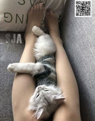 进击的巨人 第四季_720天堂在线